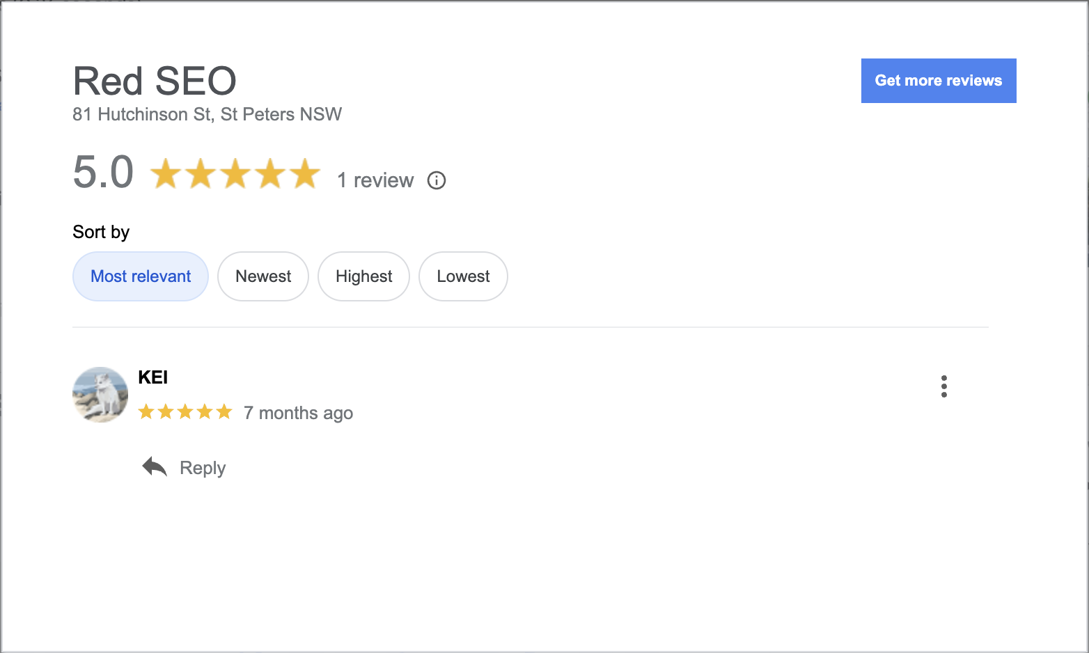 Red SEO Google Reviews